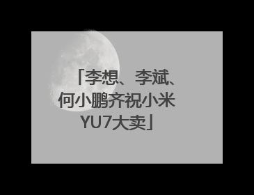 李想、李斌、何小鹏齐祝小米YU7大卖