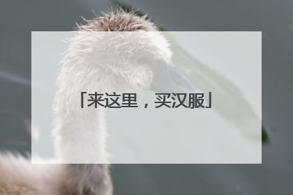 来这里，买汉服