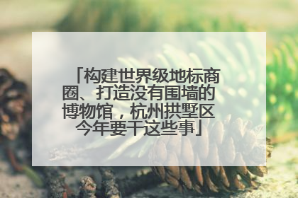 构建世界级地标商圈、打造没有围墙的博物馆，杭州拱墅区今年要干这些事