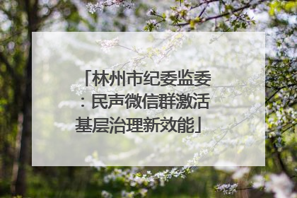 林州市纪委监委：民声微信群激活基层治理新效能
