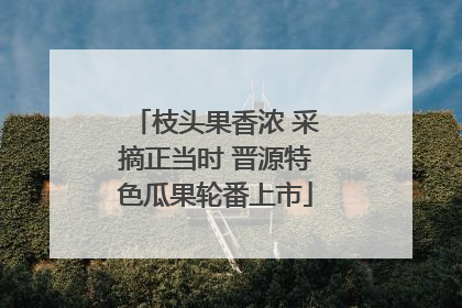 枝头果香浓 采摘正当时 晋源特色瓜果轮番上市