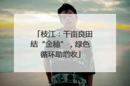 枝江：千亩良田结“金穗”，绿色循环助增收