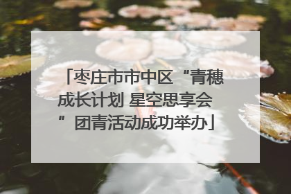 枣庄市市中区“青穗成长计划 星空思享会”团青活动成功举办