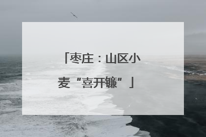 枣庄：山区小麦“喜开镰”