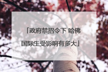 政府禁招令下 哈佛国际生受影响有多大