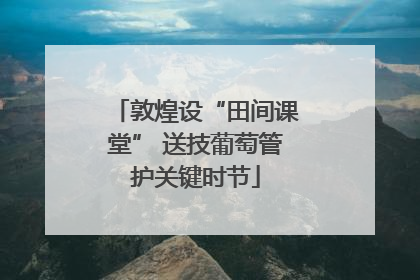 敦煌设“田间课堂” 送技葡萄管护关键时节