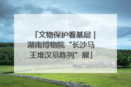 文物保护看基层｜湖南博物院“长沙马王堆汉墓陈列”展