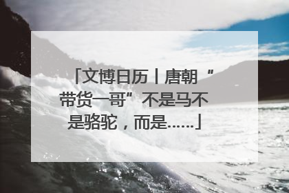 文博日历丨唐朝“带货一哥”不是马不是骆驼，而是……