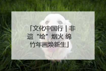 文化中国行｜非遗“绘”烟火 绵竹年画焕新生