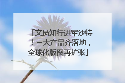 文员知行进军沙特！三大产品齐落地，全球化版图再扩张
