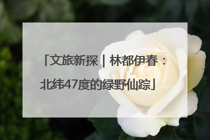 文旅新探｜林都伊春：北纬47度的绿野仙踪