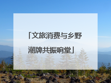 文旅消费与乡野潮牌共振响堂