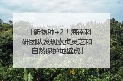 新物种+2！海南科研团队发现素贞灵芝和自然保护地壁虎