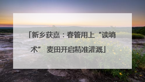 新乡获嘉：春管用上“读墒术” 麦田开启精准灌溉