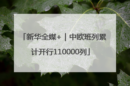 新华全媒+｜中欧班列累计开行110000列