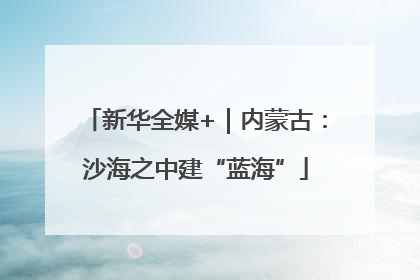 新华全媒+｜内蒙古：沙海之中建“蓝海”