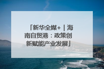 新华全媒+｜海南自贸港：政策创新赋能产业发展