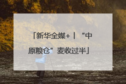 新华全媒+丨“中原粮仓”麦收过半