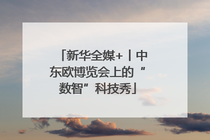 新华全媒+丨中东欧博览会上的“数智”科技秀