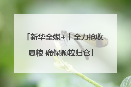新华全媒+丨全力抢收夏粮 确保颗粒归仓