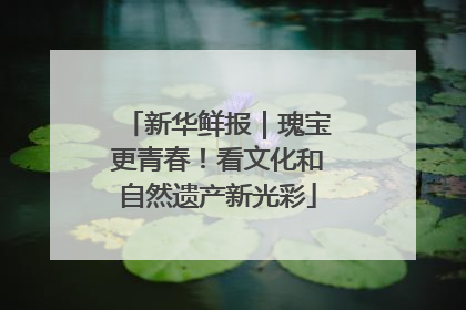 新华鲜报｜瑰宝更青春！看文化和自然遗产新光彩
