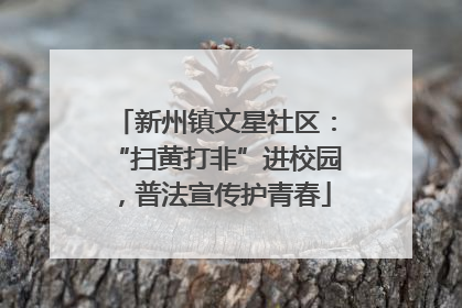 新州镇文星社区：“扫黄打非”进校园，普法宣传护青春