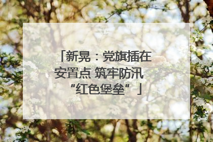 新晃：党旗插在安置点 筑牢防汛“红色堡垒”