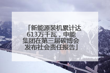 新能源装机累计达613万千瓦，申能集团在第三届碳博会发布社会责任报告