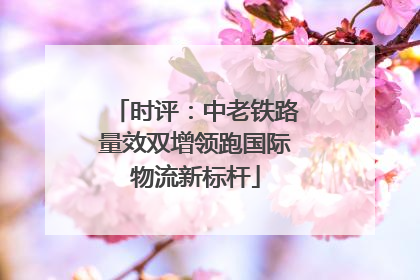 时评：中老铁路量效双增领跑国际物流新标杆