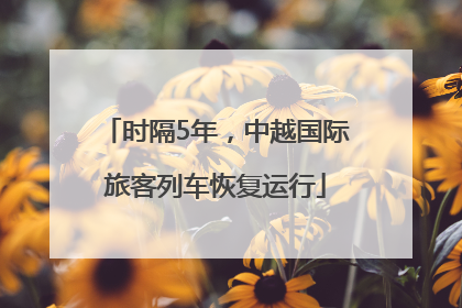 时隔5年，中越国际旅客列车恢复运行