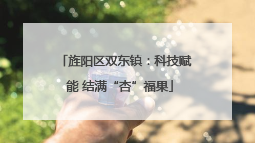 旌阳区双东镇：科技赋能 结满“杏”福果