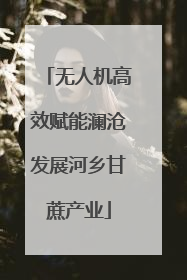 无人机高效赋能澜沧发展河乡甘蔗产业