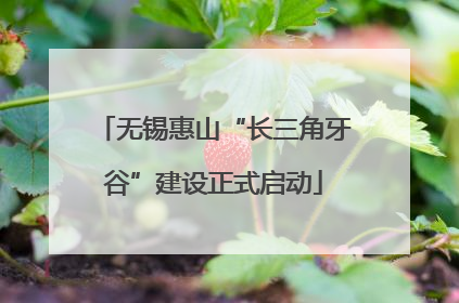 无锡惠山“长三角牙谷”建设正式启动