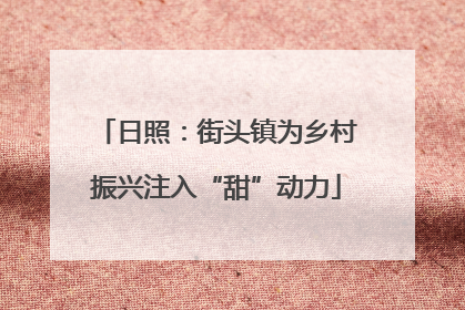 日照：街头镇为乡村振兴注入“甜”动力