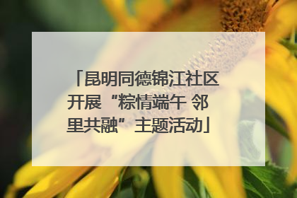 昆明同德锦江社区开展“粽情端午 邻里共融”主题活动