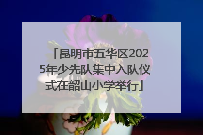 昆明市五华区2025年少先队集中入队仪式在韶山小学举行