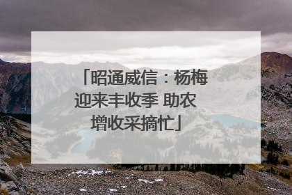 昭通威信：杨梅迎来丰收季 助农增收采摘忙