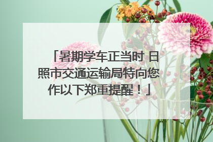 暑期学车正当时 日照市交通运输局特向您作以下郑重提醒！