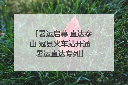 暑运启幕 直达泰山 冠县火车站开通暑运直达专列