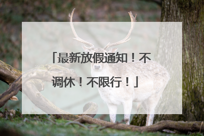 最新放假通知！不调休！不限行！