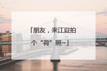 朋友，来江夏拍个“荷”照~