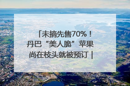 未摘先售70%！丹巴“美人脆”苹果尚在枝头就被预订｜长征路上看四川