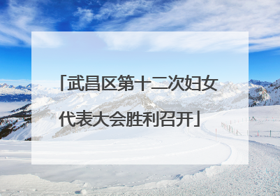 武昌区第十二次妇女代表大会胜利召开
