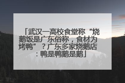 武汉一高校食堂称“烧鹅饭是广东俗称，食材为烤鸭”？广东多家烧鹅店：鸭是鸭鹅是鹅