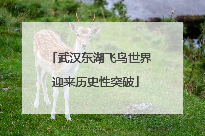 武汉东湖飞鸟世界迎来历史性突破