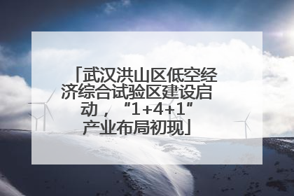 武汉洪山区低空经济综合试验区建设启动，“1+4+1”产业布局初现
