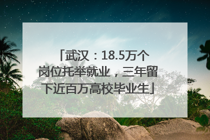 武汉：18.5万个岗位托举就业，三年留下近百万高校毕业生