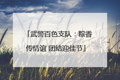 武警百色支队：粽香传情谊 团结迎佳节