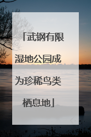 武钢有限湿地公园成为珍稀鸟类栖息地