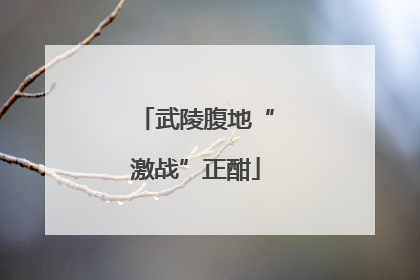 武陵腹地“激战”正酣